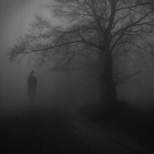 The Fog Screenshot